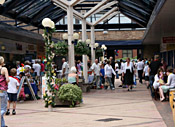 Crowds  enjoying the event & the sunshine