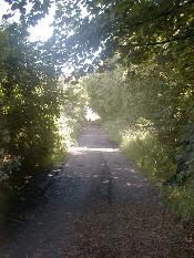 Path from Stanley Green to Windy Arbour