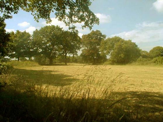 View from South West Cheadle Hulme along the track from Stanley Green to Windy Arbour [MM]