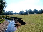 Clearing in the woodland along the Ladybrook valley at Cheadle Hulme