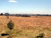 Untouched fields at southern tip of Cheadle Hulme - 1999