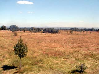 Emtpy fields at the southern tip of Cheadle hulme in 1999, and a view across to the Pennine hills - but what next?