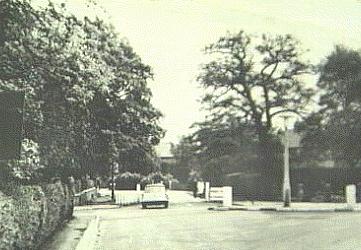 War Memorial (about 1964)